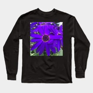 Radiant Purple Daisy Power Long Sleeve T-Shirt